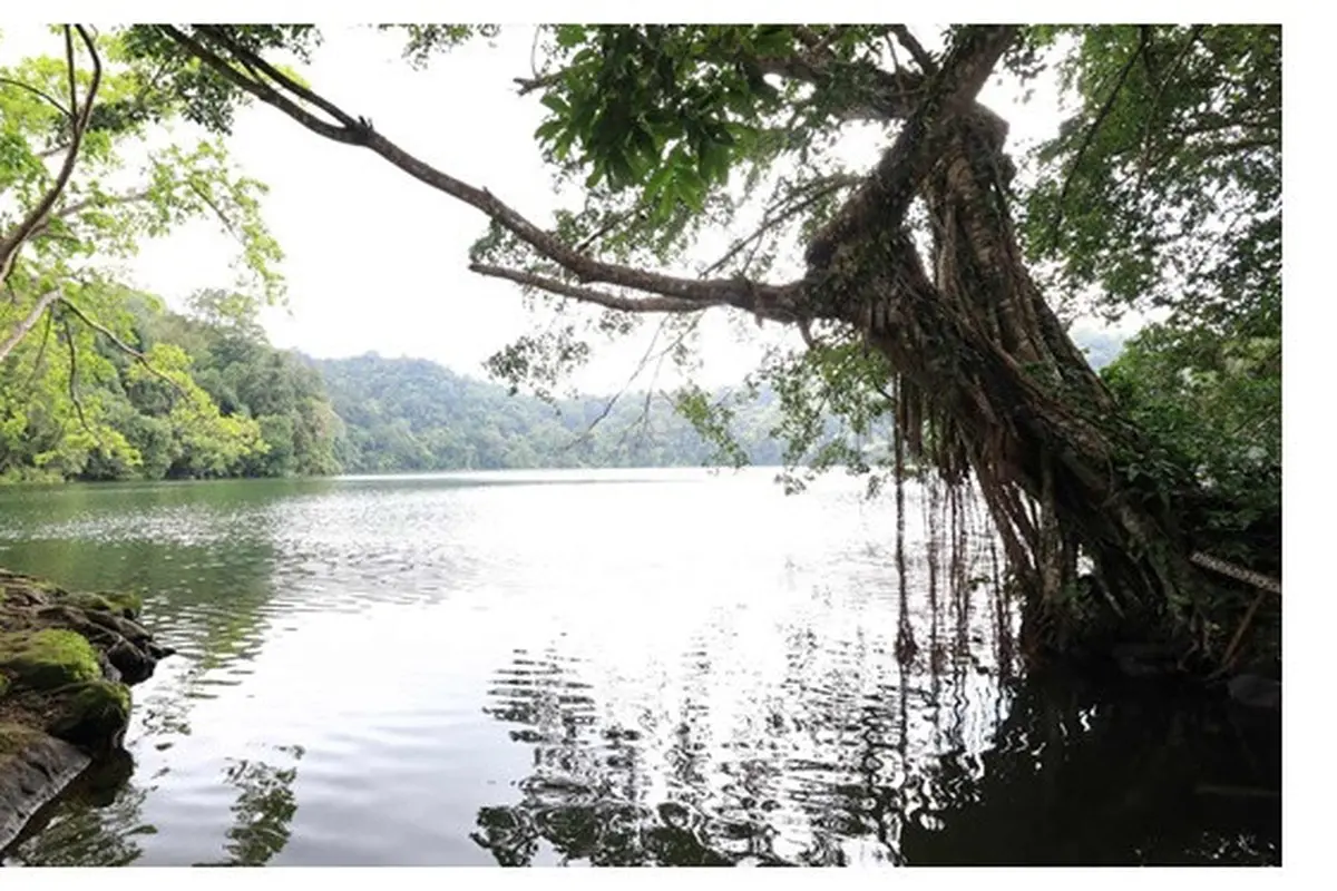 Jarang Diketahui, Ini 5 Spot Wisata Menarik di Pulau Bawean