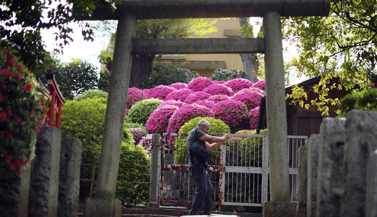 Kuil Nezu Shrine merupakan salah satu kuil tertua di Jepang yang berdiri di tengah jantung kota Tokyo yang sibuk. (AP Photo/Eugene Hoshiko)