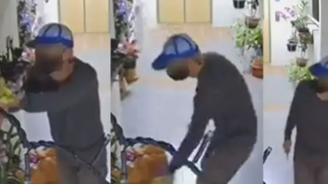 Diduga Iri, Pria Ini Potong Tanaman Anggrek untuk Hiasan Lebaran Milik Tetangga