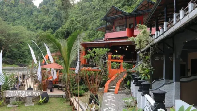 Jungle Inn Bukit Lawang