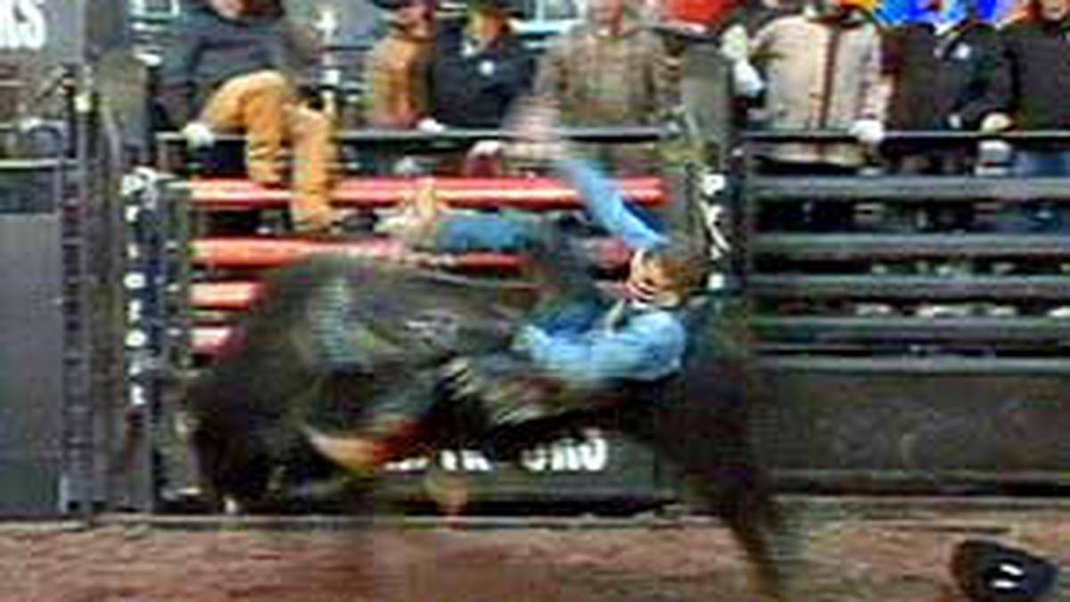 Rodeo di Tengah Kota New York