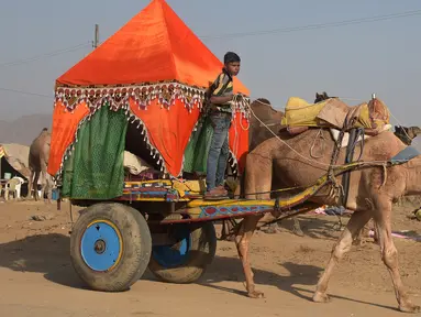 Seorang anak laki-laki India mengendarai sebuah gerobak berhias yang ditarik oleh unta saat mengikuti pameran Unta Pushkar di Pushkar, India (26/10). Pameran Unta Pushkar atau Pushkar Fair ini digelar setiap tahun.  (AFP Photo/Dominique Faget)