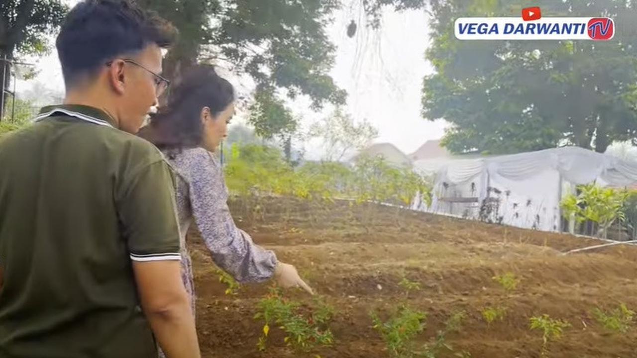 9 Potret Terbaru Vila Ruben Onsu yang Luas dan Asri, Punya Banyak Pendopo - Perlihatkan Tanaman Hasil Berkebun