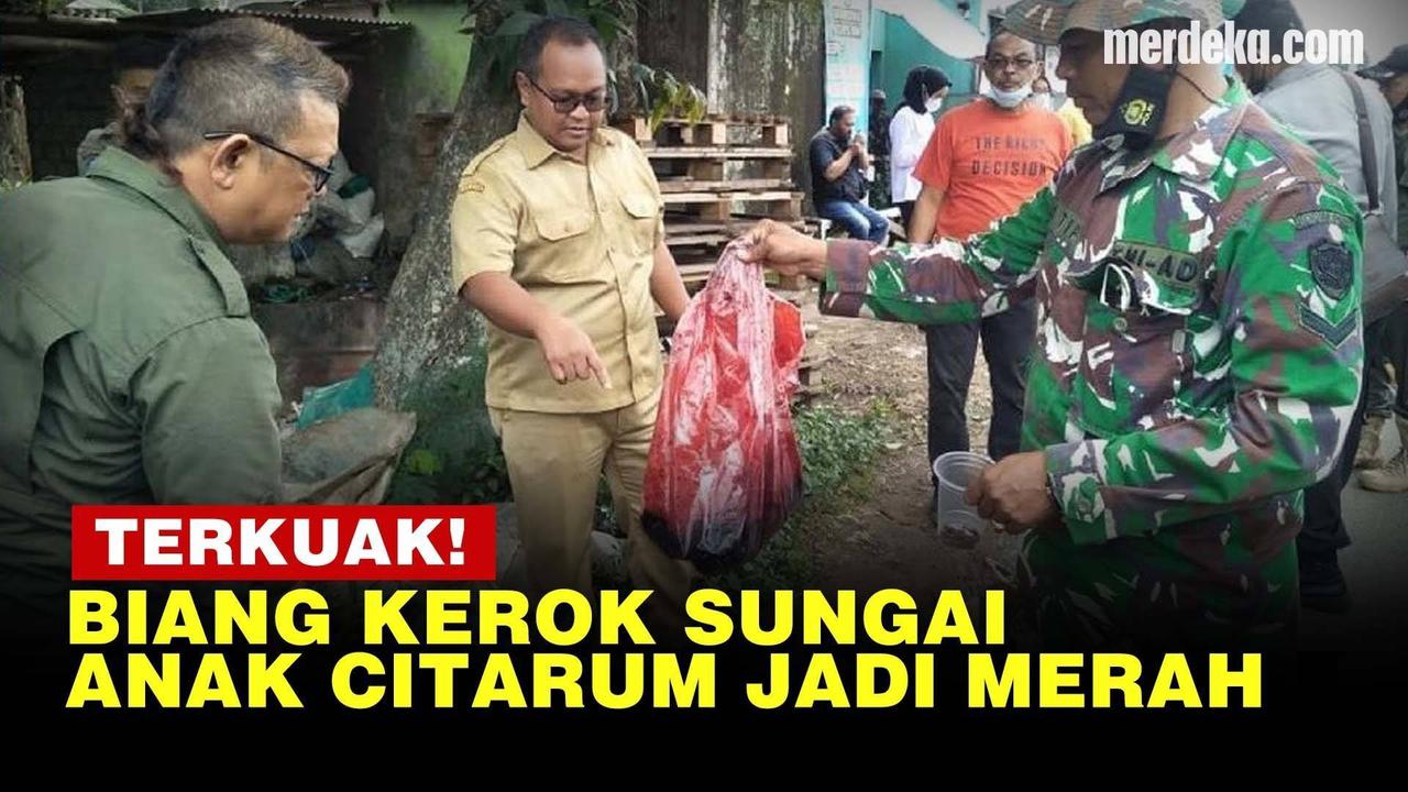 VIDEO: Ternyata Ini Biang Kerok Sebabkan Air Sungai Anak Citarum Berubah Merah