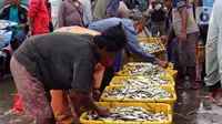 Nelayan menata ikan hasil tangkapan di Pelabuhan Muara Angke, Jakarta, Selasa (27/12/2022). Kementerian Kelautan dan Perikanan (KKP) pada 2023 menargetkan peningkatan nilai ekspor komoditas kelautan dan perikanan hingga mencapai USD 7,6 miliar. (Liputan6.com/Herman Zakharia)