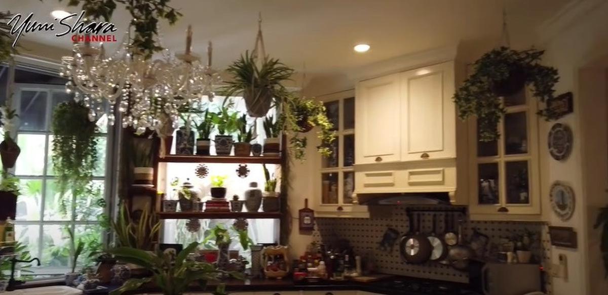 Bertema Jungle House, 8 Potret Dapur Yuni Shara yang Vintage dengan Banyak Tanaman dan Keramik