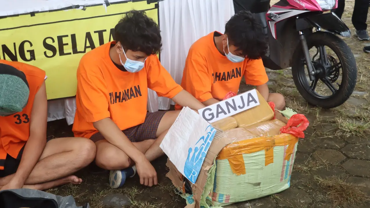 Penyelundupan ganja seberat 16 kilogram berhasil digagalkan polisi di Pelabuhan Bakauheni, Lampung Selatan. Foto : (Istimewa).