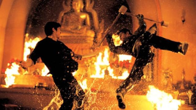 The Protector (2005)