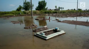 Suasana pemakaman yang terendam rob, di Desa Pantai Bahagia, Muara Gembong, Kabupaten Bekasi, Jawa Barat, Jumat (9/6). Banjir sering terjadi di kawasan tersebut dengan ketinggian air mencapai 50 cm.(Liputan6.com/Gempur M Surya)