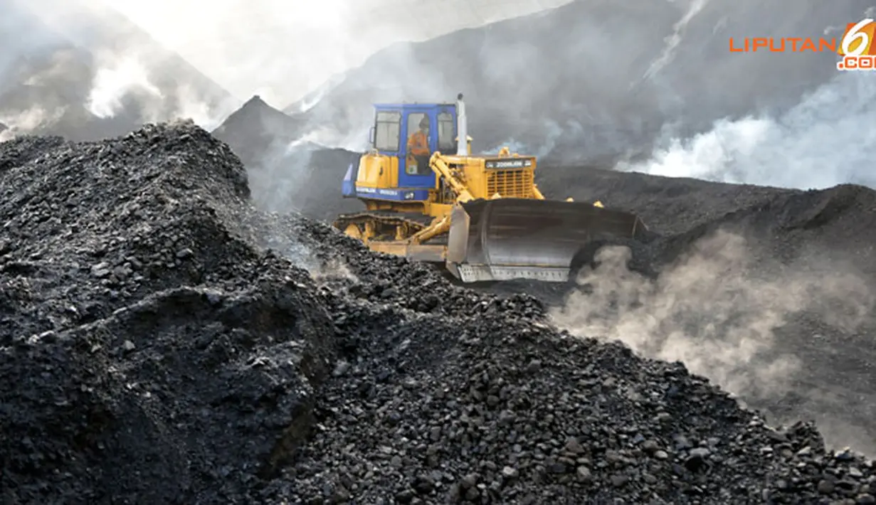 Buldozer mengeruk batubara untuk diproses lebih lanjut (Liputan6.com/ Panji Diksana)