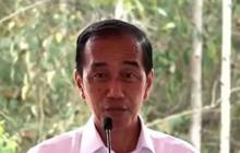 Jokowi Ingin Contoh Guyana: Kekayaan Negara Digarap Swasta Bukan BUMN, Maaf Pak Erick