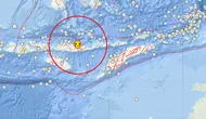 Daftar 14 Daerah Berstatus Waspada Tsunami Usai Gempa M 7,7 NTT