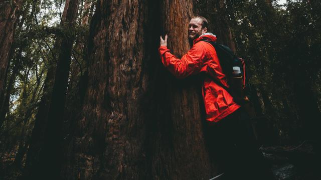 Ilustrasi memeluk pohon