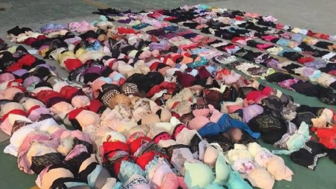 Menggunakan Pancing, Pria Ini Curi Ratusan Pakaian Dalam Wanita