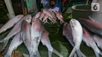 Ikan bandeng dari air tambak dijual pedagang musiman di kawasan Rawa Belong, Jakarta, Rabu (10/2/2021). Menjelang perayaan Imlek atau Tahun Baru China, pedagang ramai menjual ikan bandeng dengan harga per kilogramnya mencapai Rp 60 ribu hingga 100 ribu. (Liputan6.com/Fery Pradolo)