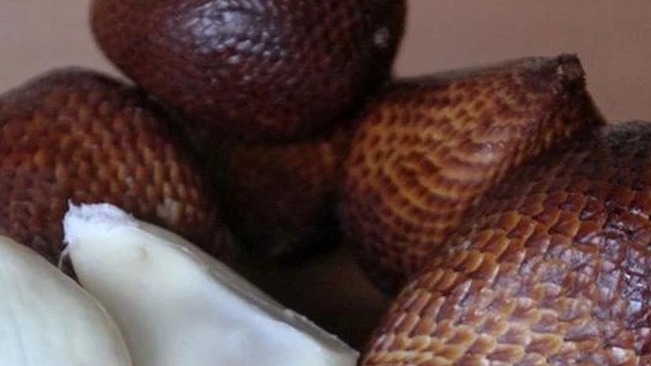 Buah dan biji salak bermanfaat untuk kesehatan.