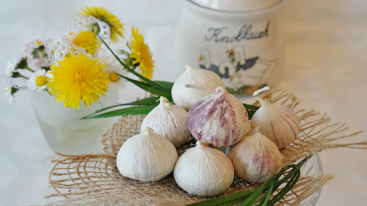 tips bawang putih