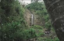 Pesona Curug Cina, Air Terjun di Balik Rindangnya Hutan Subang yang Bikin Betah
