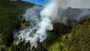 Foto udara ini menunjukkan asap yang mengepul dari kebakaran hutan di Nemocon, Kolombia pada 24 Januari 2024. (Luis ACOSTA/AFP)