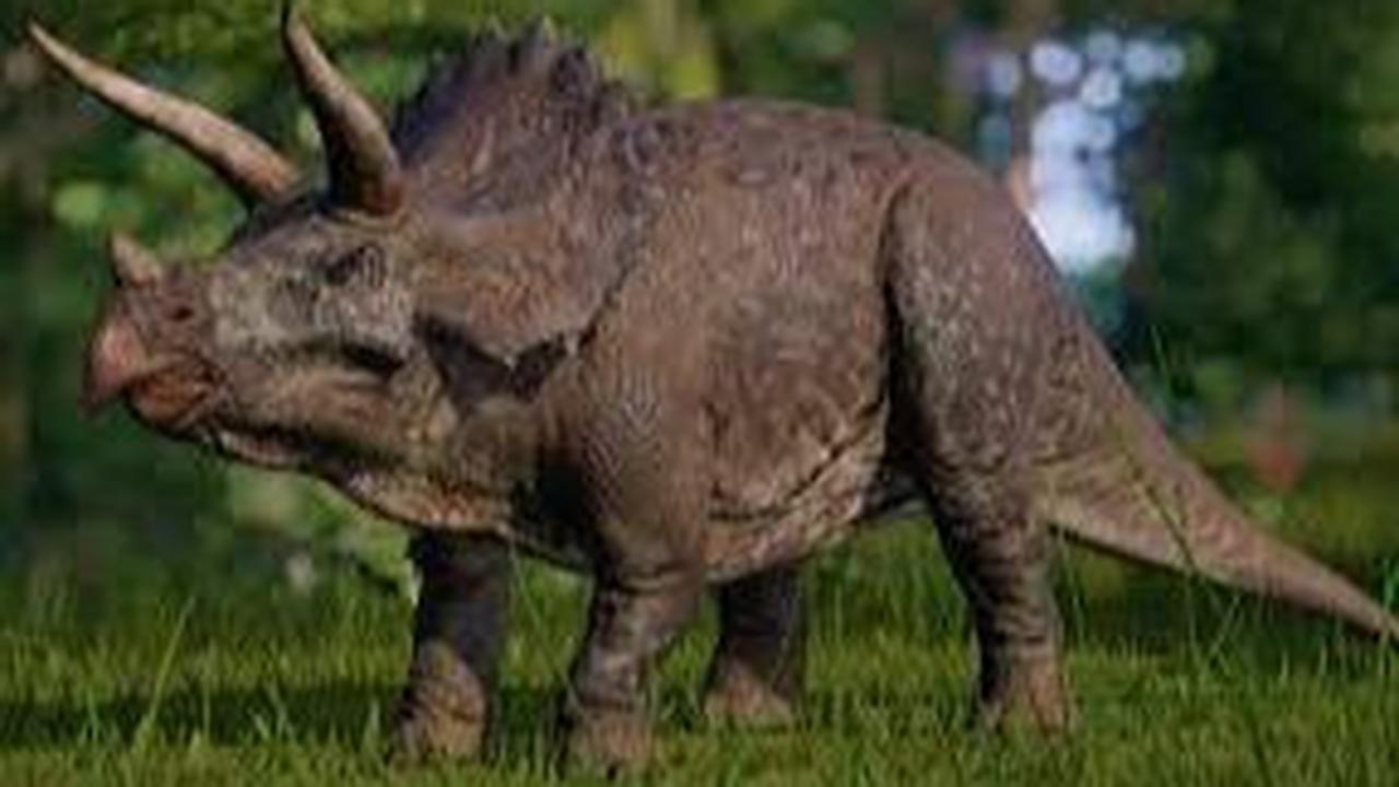 Apakah badak berkerabat dengan dinosaurus seperti Triceratops?