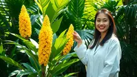 Cara Mengolah Daun Ketepeng untuk Obat Gatal yang Efektif dan Alami