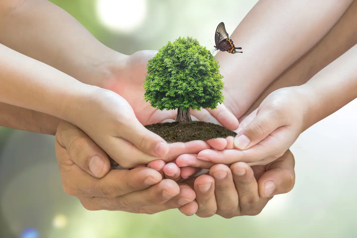 Sustainable environment