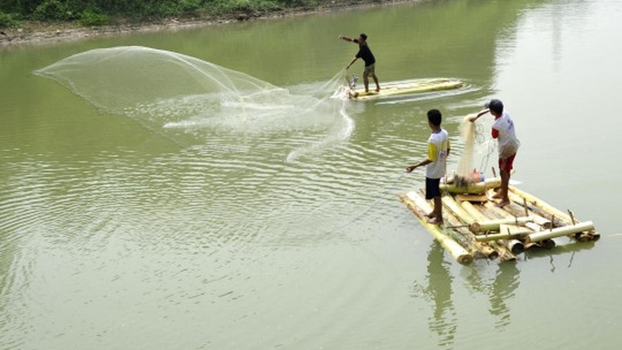 Berkah kemarau bagi pencari ikan di Sungai Cisadane