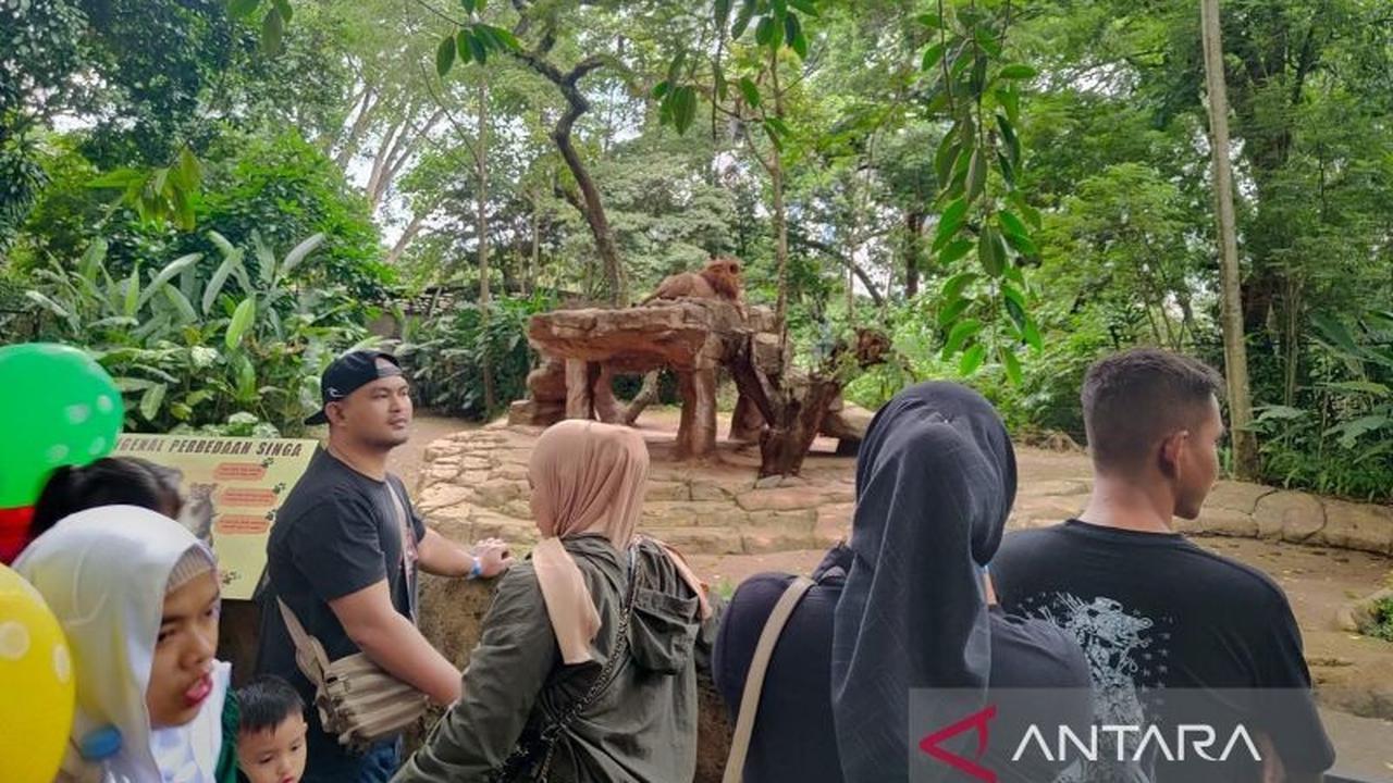 Guru Besar Unpad hingga Terdakwa Korupsi Gugat Pengelolaan Bandung Zoo, Ada Apa?