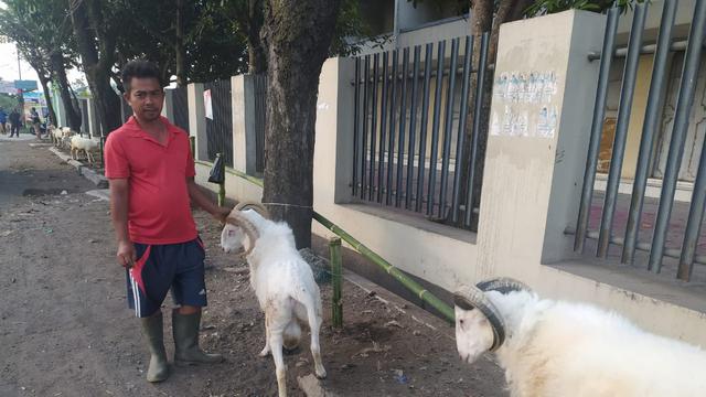 Para pedagang hewan domba Garut, Jawa Barat, nampak lesu akibat minimnya penjualan hewan kurban, saat menjelang Idul Adha 1441/2020.