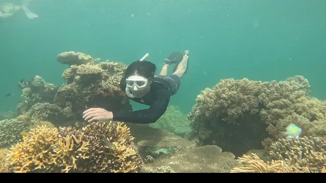 Snorkeling