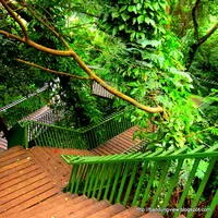 Taman Siliwangi, Bandung, Jawa Barat. (bandungview.info)