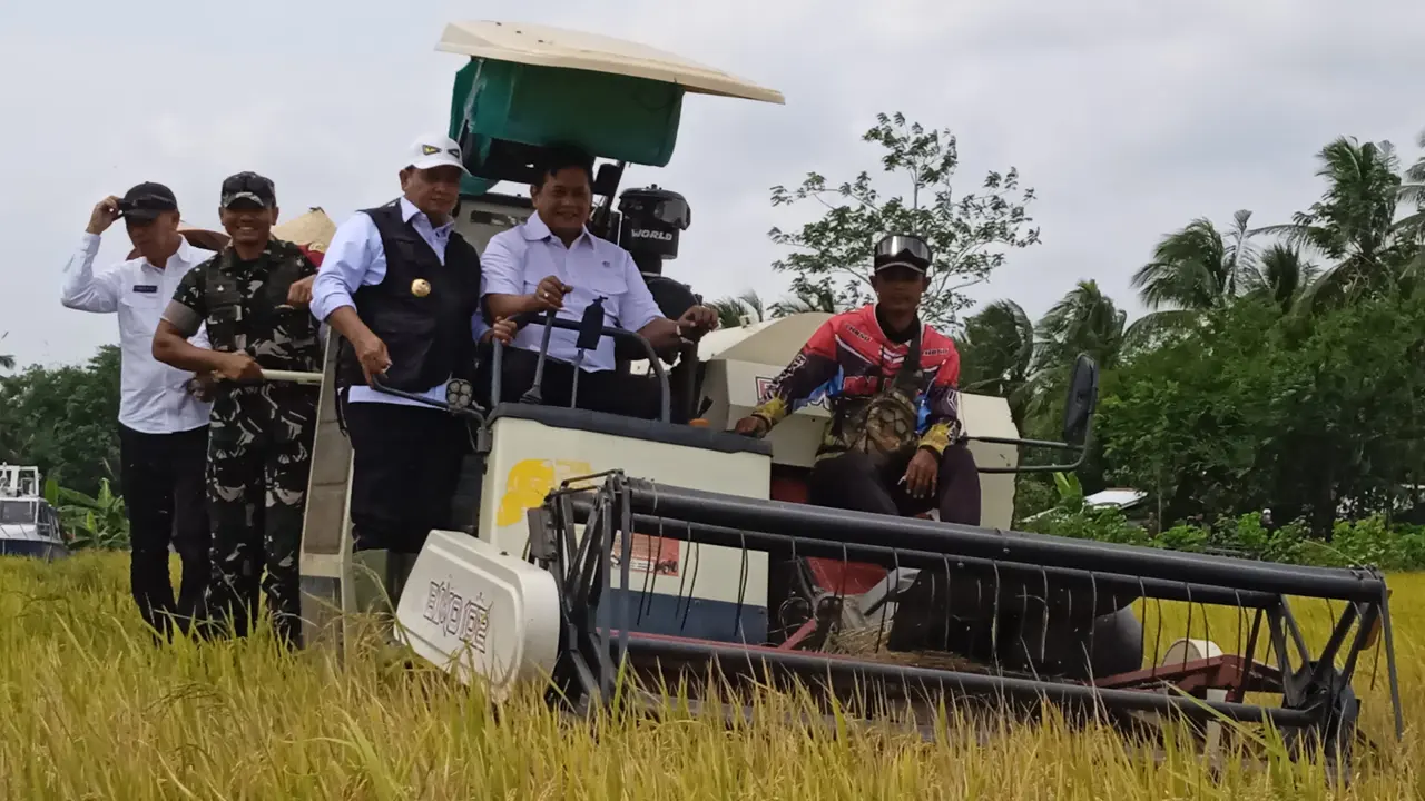 Wakil Menteri Transmigrasi (Wamentrans), Viva Yoga Mauladi menghadiri Panen Raya Padi di Banyuasin, Sumatera Selatan (Liputan6.com/Debby Alifah)