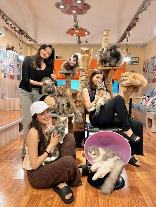 Tidak hanya sendiri, dalam momen tersebut, Beby Tsabina bermain di Cat Cafe bersama dengan kedua sahabatnya. Salah satunya ialah Cassandra Lee yang turut menemaninya bermain dengan para kucing di Cat Cafe. (Liputan6.com/IG/@bebytsabina)