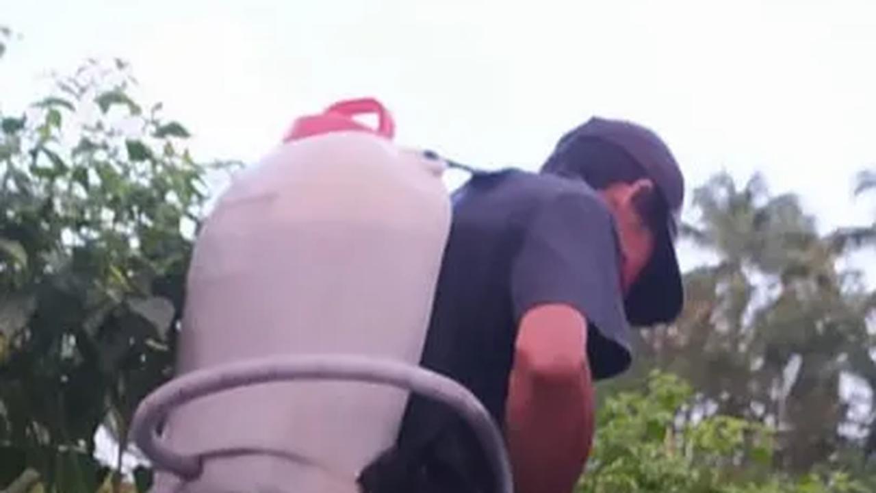 Kendati demikian, berikut daftar petani yang berhasil meraup keuntungan ratusan juta dari hasil panennya.