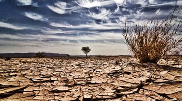 Ilustrasi Liputan Khusus El Nino