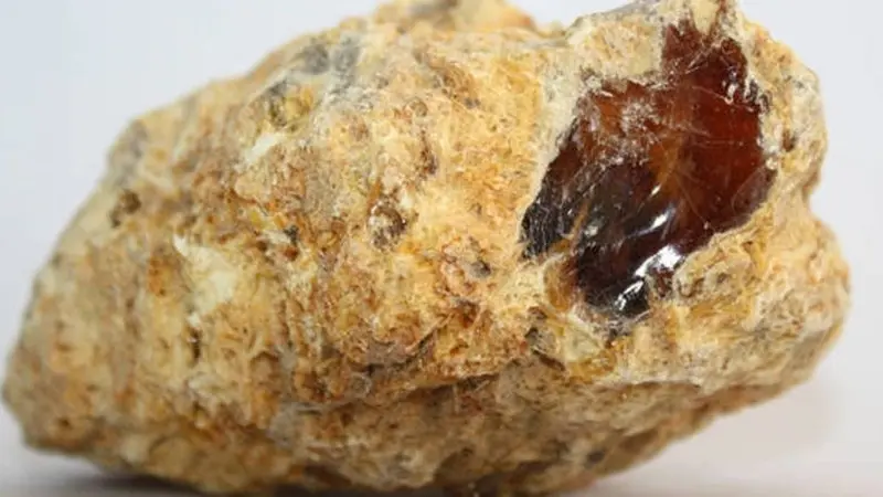 Ambergris