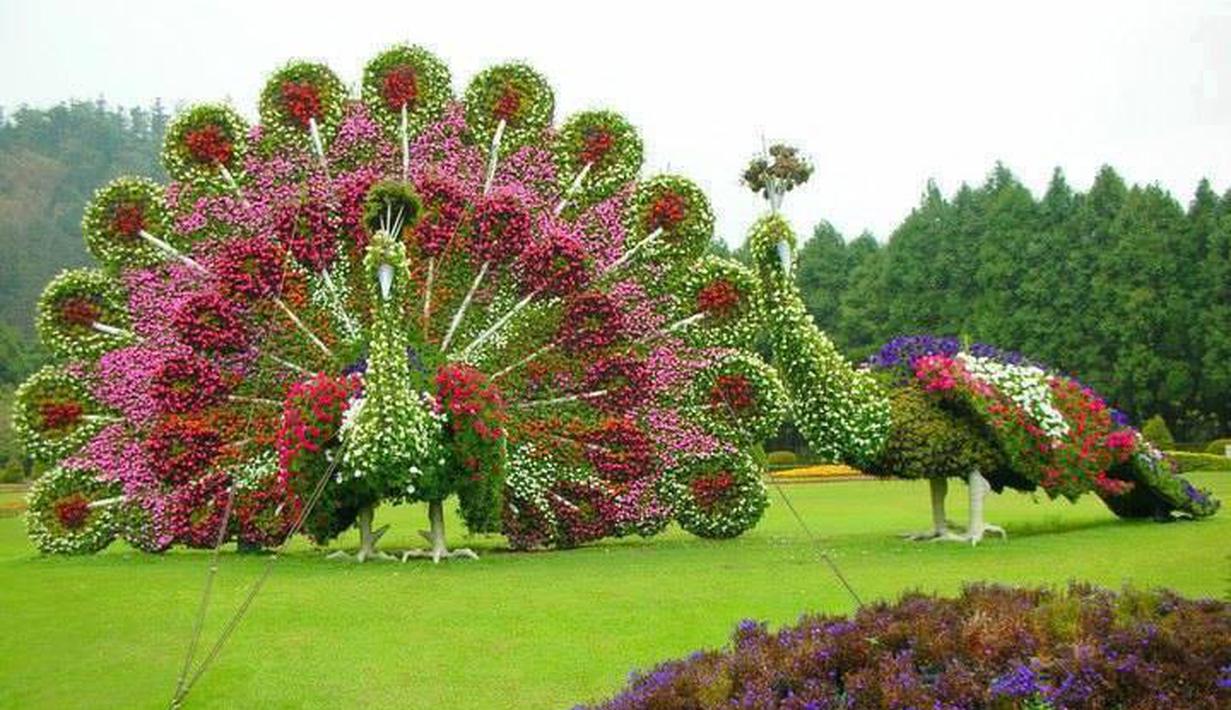 40 Gambar Hewan Dan Pohon Gratis