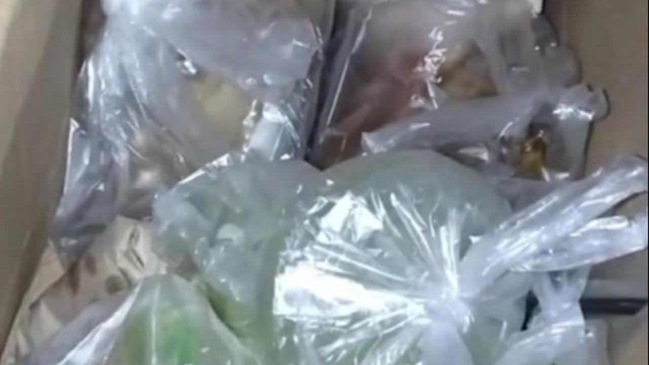 Berburu Takjil Gratis untuk Berbuka, Perempuan Ini Dapat Makanan hingga Satu Kardus