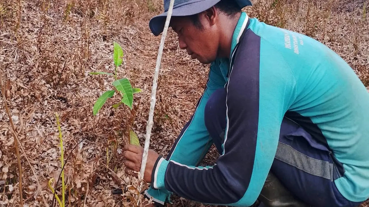 Hari Gerakan Sejuta Pohon Sedunia.