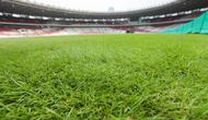 Kondisi terkini dari rumput Stadion Utama Gelora Bung Karno (SUGBK) di H-7 jelang pertandingan Timnas Indonesia kontra Jepang di Kualifikasi Piala Dunia 2026. (Bola.com/M Iqbal Ichsan)