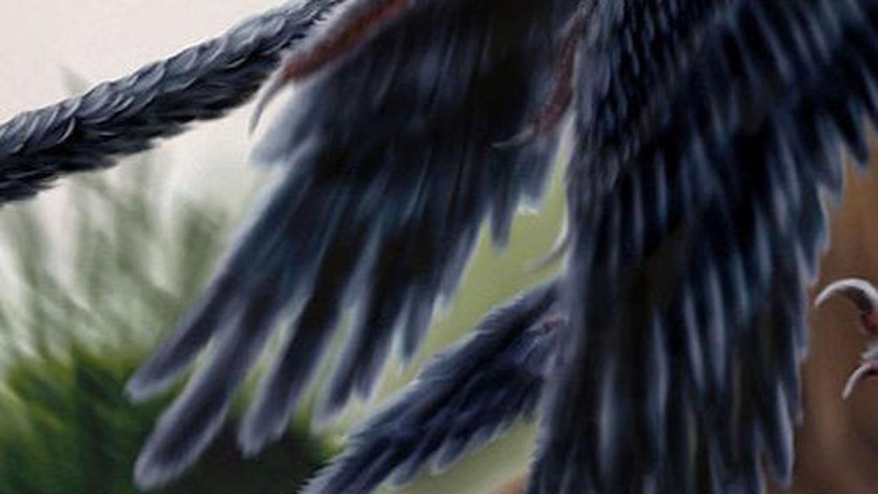 3. Perbedaan Gaya Berburu Microraptor dengan Burung<br>