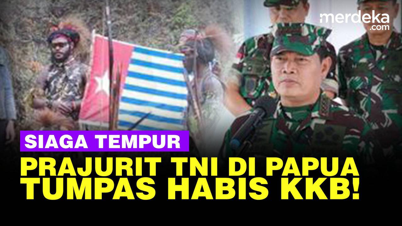 VIDEO: Serangan KKB Papua, Panglima TNI Tegas "Kalau Dibalas Humanis, Habis Kita"