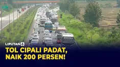 cipali padat