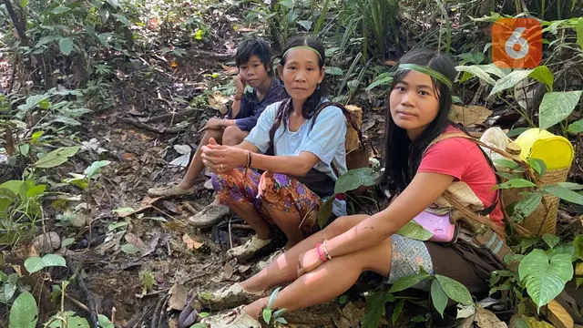 Suku Rimba Terakhir di Pulau Kalimantam