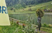 BRI Rayakan Hari Tani Nasional dengan Perkuat Dukungan Pembiayaan dan Pemberdayaan Petani