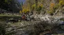 Seorang pria Kashmir memandu kudanya yang digunakan untuk perjalanan wisata di Naranag, utara Srinagar, Kashmir yang dikuasai India, Minggu (31/10/2021). Tempat wisata ini terkenal karena padang rumput, danau, dan pegunungannya yang indah. (AP Photo/Dar Yasin)