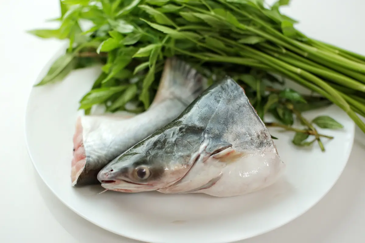 ikan patin