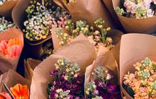 7 Bunga yang Cocok untuk Kado Hari Ibu, Ketahui Makna Masing-Masing Jenisnya