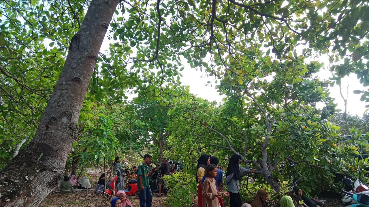 Dampak Gempa M7,7 di NTT, BPBD Kepulauan Selayar Data 3 Kecamatan Alami Tsunami