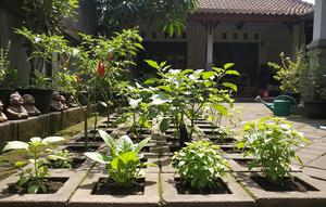 Cara Menanam Sayuran di Paving Block. (Foto: AI)